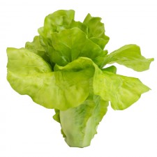 ΤΕΧΝΗΤΟ ΜΑΡΟΥΛΙ ΠΡΑΣΙΝΟ ΠΛΑΣΤΙΚΟ. 16x17x14. LETTUCE