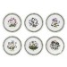 Portmeirion Botanic Garden 5 inch-13 εκ πιάτο ψωμιού σέτ 6